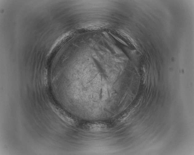 X0000074030400200609111719