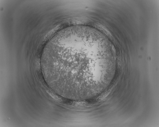 X0000074030401200609111719