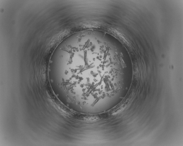 X0000074030402200609111719