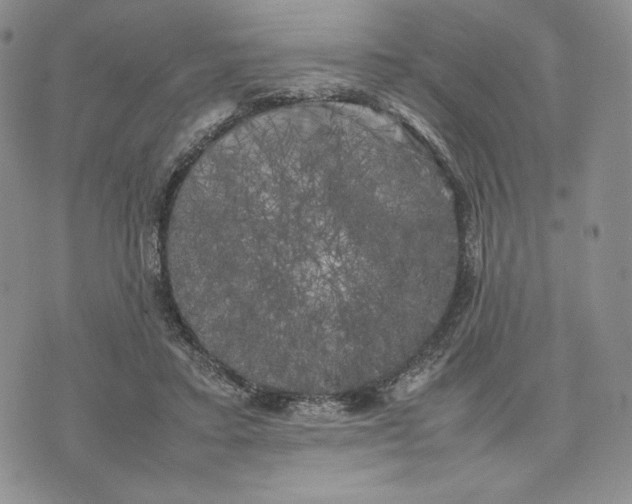 X0000074030403200609111719