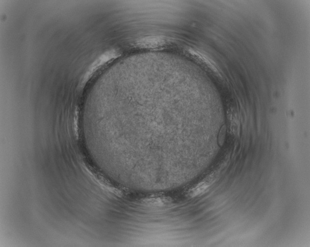 X0000074030404200609111719