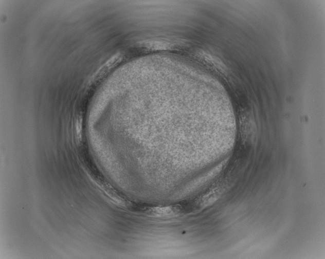 X0000074030406200609111719