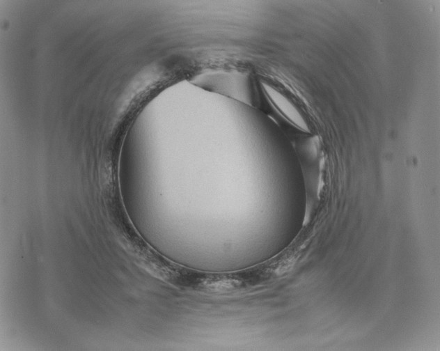 X0000074030407200609111719