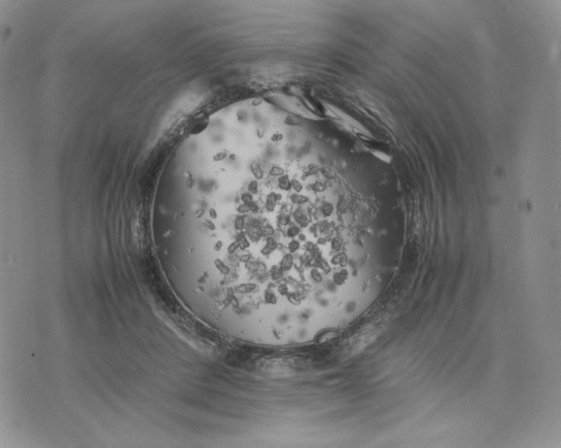 X0000074030408200609111719