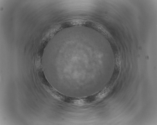 X0000074030411200609111719