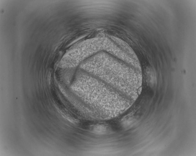 X0000074030412200609111719