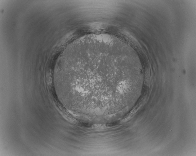 X0000074030413200609111719