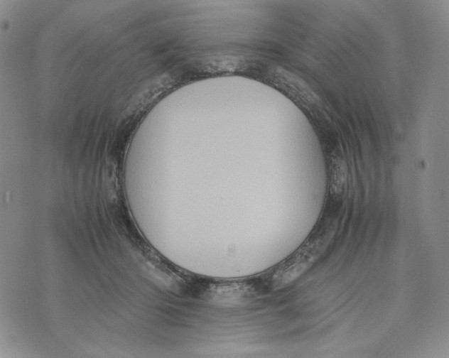 X0000074030414200609111719