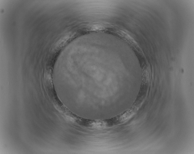 X0000074030415200609111719