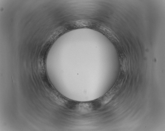 X0000074030418200609111719