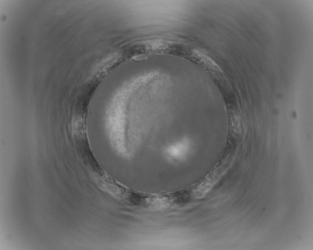 X0000074030419200609111719