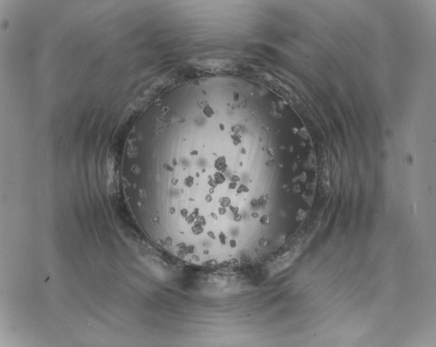 X0000074030420200609111719