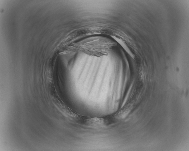 X0000074030421200609111719