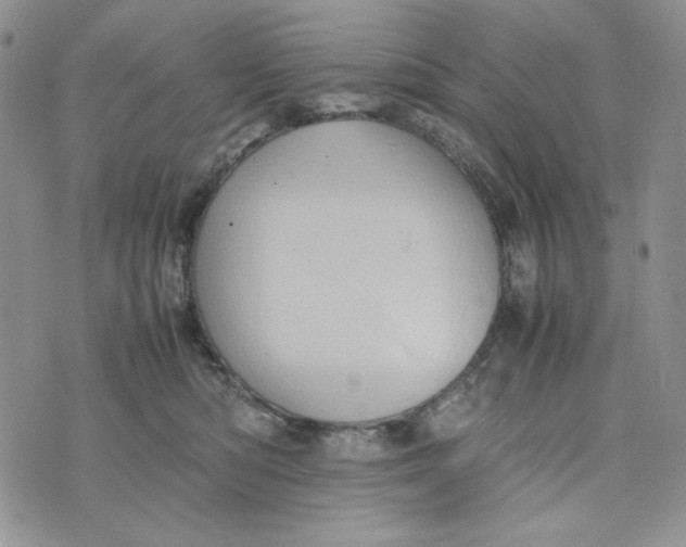 X0000074030422200609111719