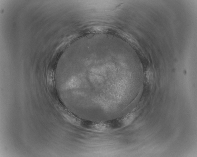 X0000074030423200609111719