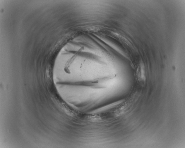 X0000074030424200609111719