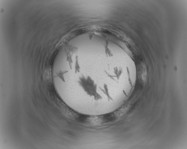 X0000074030425200609111719