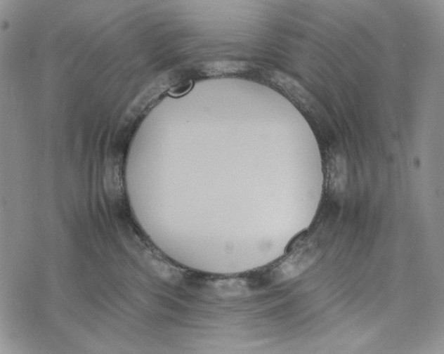 X0000074030426200609111719