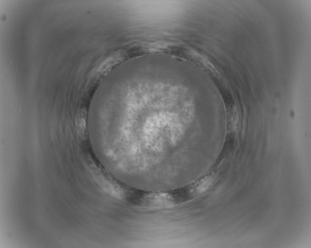 X0000074030427200609111719