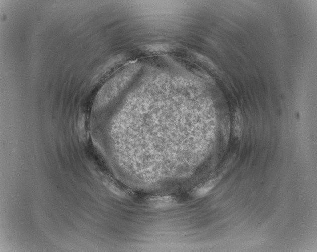 X0000074030428200609111719