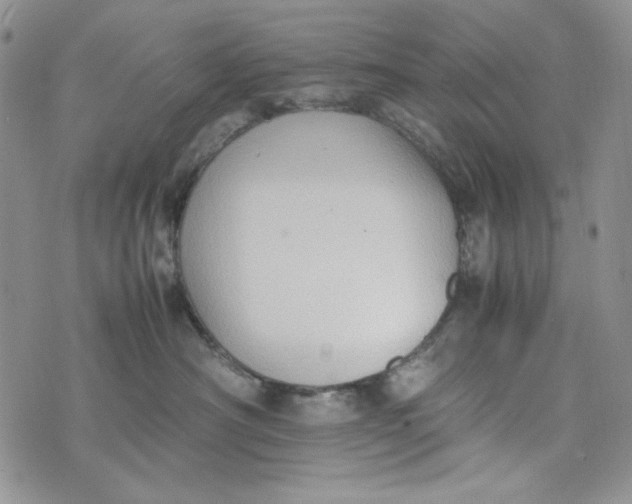 X0000074030430200609111718