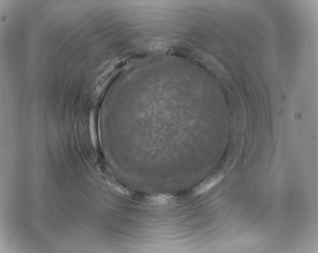 X0000074030432200609111718