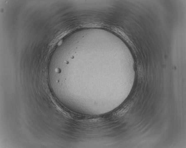 X0000074030433200609111718