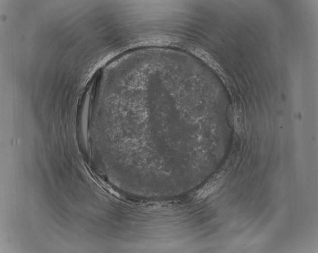 X0000074030434200609111718