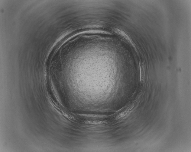 X0000074030435200609111718