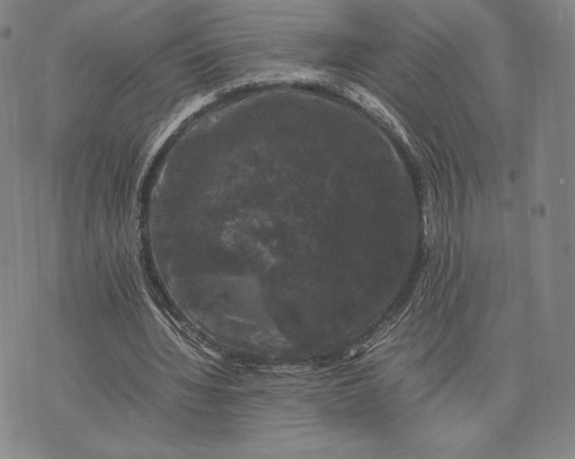 X0000074030436200609111718