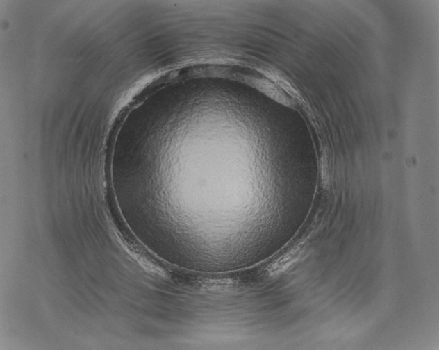 X0000074030438200609111718