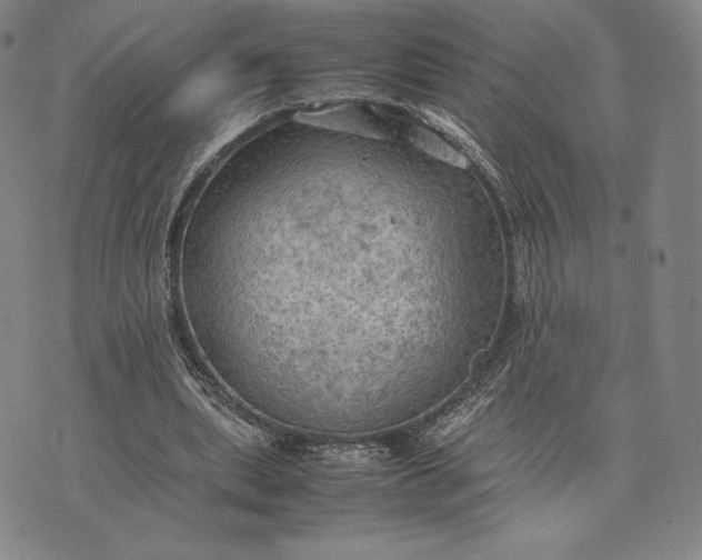 X0000074030439200609111718