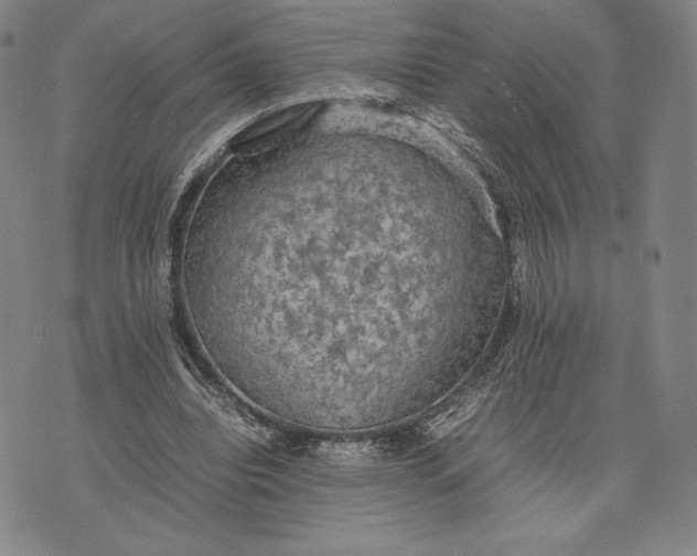 X0000074030440200609111718