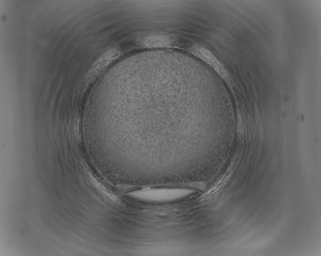 X0000074030441200609111718