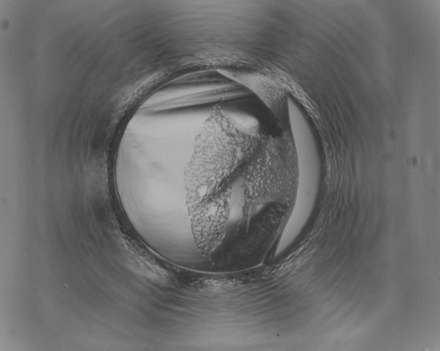 X0000074030442200609111718