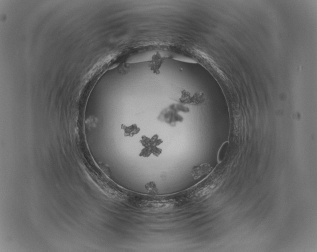 X0000074030443200609111718