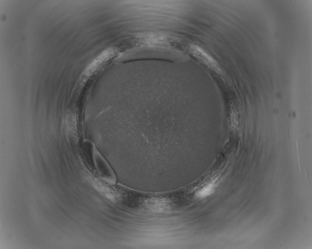 X0000074030444200609111718