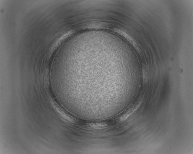 X0000074030445200609111718