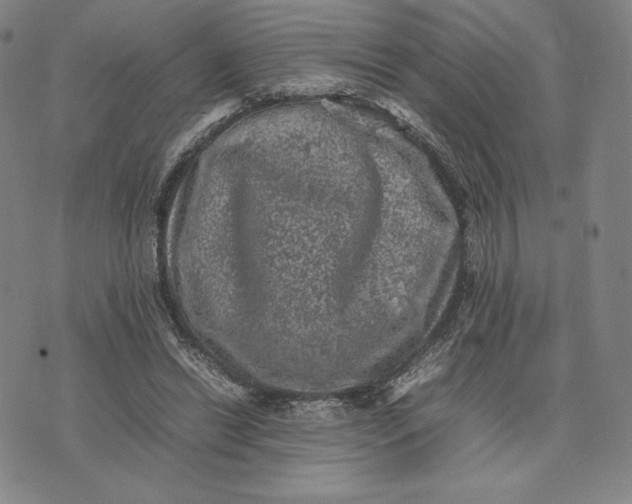 X0000074030446200609111718