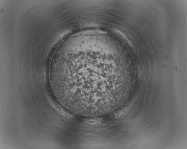 X0000074030447200609111718