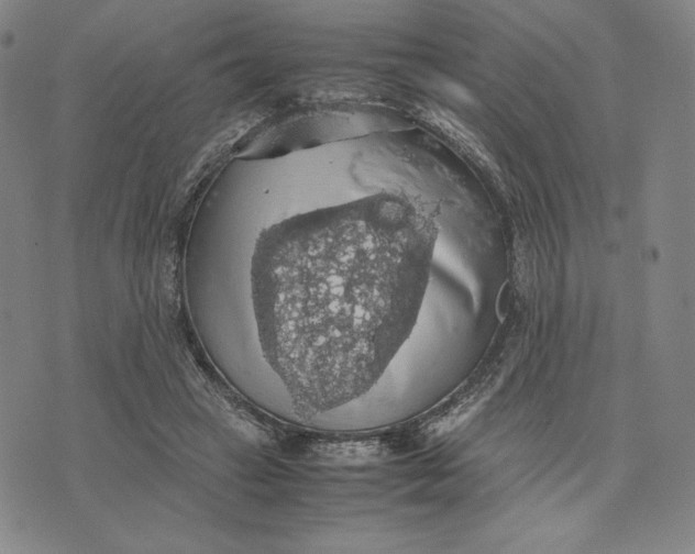 X0000074030449200609111718