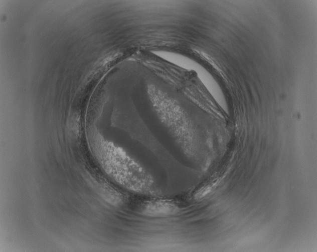 X0000074030451200609111718