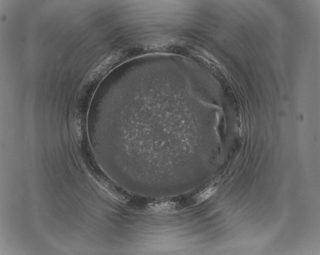 X0000074030452200609111718