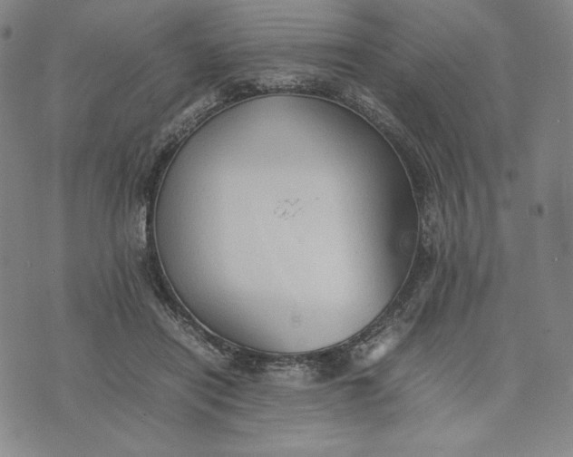 X0000074030454200609111718