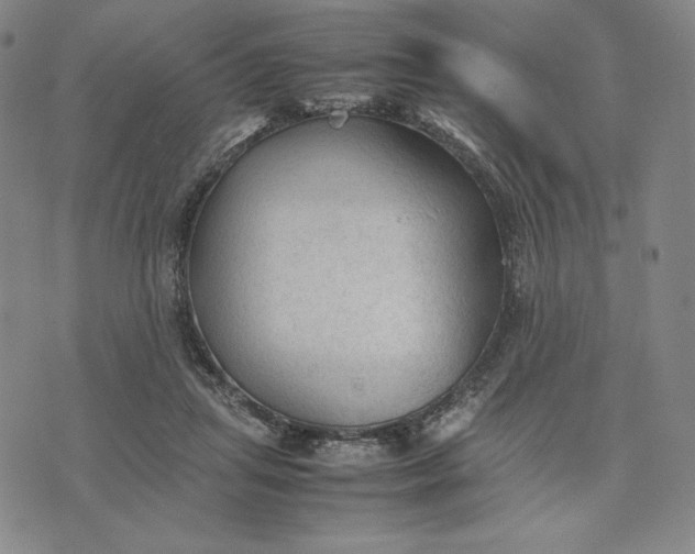 X0000074030455200609111718