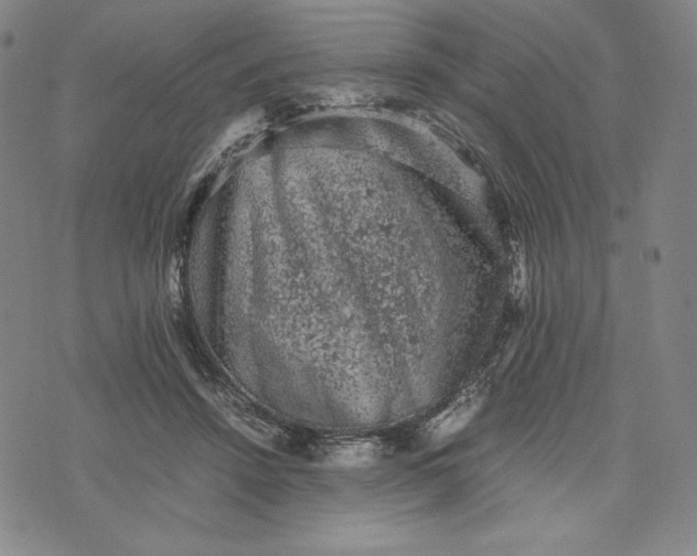 X0000074030456200609111718