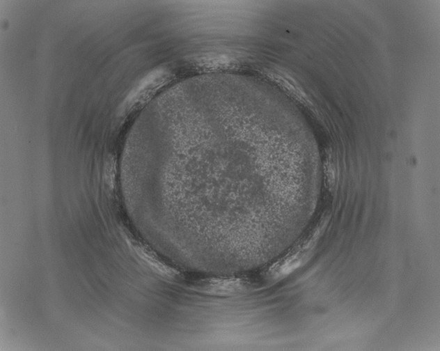 X0000074030458200609111718