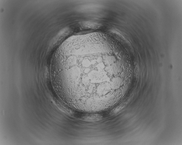 X0000074030459200609111718