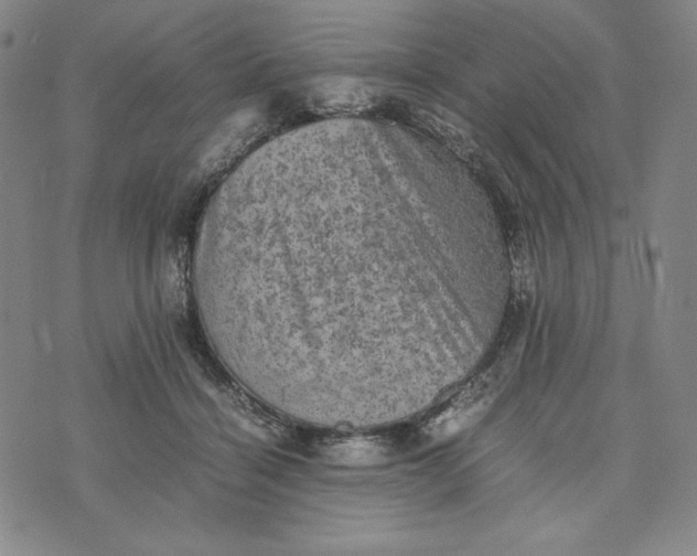 X0000074030460200609111718