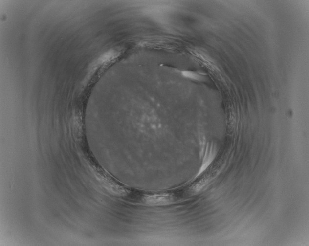 X0000074030461200609111718